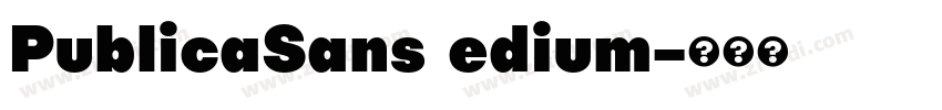PublicaSans edium字体转换